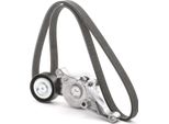 Ridex 542R0499 - Kit Di Fissaggio Per Alhambra (7V), Caddy Iii (2C, 2K), T5, Sharan (7M)