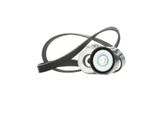 Ridex 542R0342 - Set Di Cinghie Con Nervatura A V Per 500 (312), 500L (351, 352), Doblo, Punto, Idea, Panda, Strada