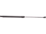 Ridex 219G0005 - Oe 82 00 174 571 Ammortizzatore Del Portellone Posteriore Per Grand Scenic Ii (Jm), Scenic Ii