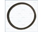 Ajusa 00892400 Guarnizione Albero Motore Per Renault Trucks C Lato Cambio