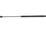 Ridex 219G0697 - Ammortizzatore Posteriore Oe 51051703 Per Laguna Iii