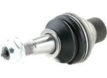 Ridex 2462S0360 - Oe 31 12 6 777 753 Giunto Di Supporto, Anteriore Inferiore Per Serie 5 (F10), Serie 5 Gt (F07), Serie 5 (F11), Serie 6 (F12), Serie 6 (F13), Serie 6 (F06), Serie 7 (F01)