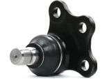 Ridex 2462S0338 - Giunto Sferico Oe 3640 77 Per C-Elysee (Dd), C3 Aircross Ii (2C, 2R), C3 Ii (Sc), C3 Iii (Sx), C4 Cactus, DS3, Crossland X, 2008 I (Cu), 208 I (Ca, Cc), 208 (Cr), 301