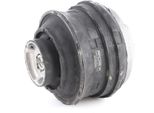 Ridex 247E0002 - Oe 202 240 01 17 Motorlager, Vorne Links FüR Slk (R170), S-Klasse (W220), E-Klasse (S211), E-Klasse (S210), E-Klasse (W211), E-Klasse (W210), Clk (A208), Clk (C208), Clc-Klasse (CL203), C-Klasse (S203), C-Klasse (S202), C-Klasse (CL203), C-Klasse (W203), C-Klasse (W202)