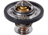 Swag Termostato Liquido Di Raffreddamento 88°C Per Ford Mondeo Iv Turnier (BA7) Focus Ii Hatchback (Da, Hcp, Dp) S-MAX (WA6) Focus Ii Estate (Da, Ffs, Ds) Focus