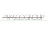 Prasco RN3291423 - Oe 808207893R Modanatura, Anteriore Destra Per Clio Iv