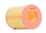 Ridex 8A0094 - Filtro Aria Oe 1660940004 Per Classe A (W168), Vaneo (414)