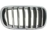 Blic 6502-07-00969944P - Griglia Radiatore Oe 51137316062, Destra Per X5 (F15, F85), X6 (F16)