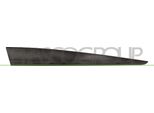 Prasco RN3291405 - Oe 801865598R Modanatura, Anteriore Destra Per Clio Iv