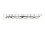 Prasco RN3292239 - Oe 620723341R Modanatura, Griglia Radiatore Sinistra Per Clio Iv