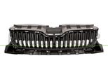 Prasco SK3282001 - Griglia Radiatore Oe 6V0853653A9B9 Per Fabia Iii (Nj)