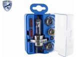 Set Assortito Di Lampadine Vemo P21W R5W W5W P21/5W H4