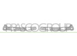 Prasco PG4281055 - Oe 1610767480 Staffa Paraurti, Posteriore Per 308 Sw Ii, 308 Ii