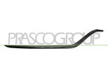 Prasco ME4421233 - Oe A2058852374 Modanatura, Griglia Radiatore Destra Per Classe C (W205), Classe C (S205)