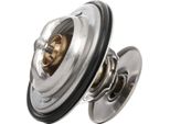 Ridex 316T0087 - Termostato KüHlwasser Oe 616 73 540 Per A6 (4G), Vario, Trafic (P, T, V), T4, Passat (3B), Caddy Ii (9K)