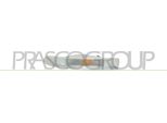 Prasco OP9504114 - Oe 4500920 Lente, Indicatore Di Direzione Per Movano (X70)
