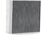 Ridex 424I0319 - Filtro Aria Esterna Oe 1110 V003 Per Cabrio (450), City-Coupe (450), Crossblade (450), Fortwo Cabrio (450), Fortwo Cabrio (451), Fortwo (450), Fortwo (451)