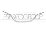 Prasco RN7502305 - Oe 623856800R Modanatura, Griglia Radiatore Per Kadjar (Ha, Hl)