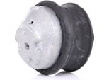 Ridex 247E0098 - Oe 203 240 13 17 Motorlager, Vorderachse FüR C-Klasse (W203), C-Klasse (CL203), C-Klasse (S203), Clc-Klasse (CL203), Clk (C209), E-Klasse (W210), E-Klasse (W211), E-Klasse (VF211), E-Klasse (S210), E-Klasse (S211), Slk (R171)