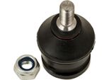 MASTER-SPORT 30358-PCS-MS Supporto/Giunto Di Guida, Inferiore, Asse Anteriore Per Hyundai Atos (Mx)