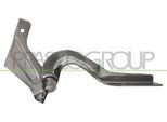 Prasco DS0143703 - Oe 65400 1HB0A Cerniera, Cofano Destro Per Micra Iv (K13)