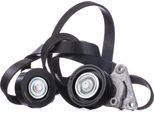 Ridex 542R0547 - Set Di Cinghie Oe LFY315SAX Con Nervatura A V Per 6 (G)