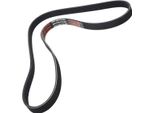 MASTER-SPORT 6PK1256-PCS-MS Cinghia A V, Cinghia Piatta Per Ford Scorpio I (Gae, Gge)