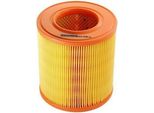 Filtro Aria Denckermann A140749 Per Audi A6 Avant (4F5, C6) Filtro Aria Ricircolata