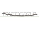Prasco AD0361203 - Oe 4F080749001C Modanatura, Griglia Radiatore Destra Per A6 (4F)