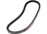 MASTER-SPORT AVX-10X613-PCS-MS Cinghia Trapezoidale Per Audi 80 B2 Notchback (811, 813, 814, 819, 853)