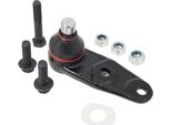 MASTER-SPORT 12119-SET-MS Supporto/Giunto Di Guida, Inferiore, Assale Anteriore Per Renault Super 5 (B/C40_)