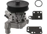 Pompa Refrigerante Swag Pompa Acqua Per Ford Transit Mk6 Furgone (V347, V348, Fa) 50 93 1402
