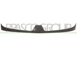 Prasco RN9172021 - Griglia Radiatore Oe 7701056406 Per Kangoo (Kc), Kangoo (Fc)