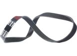 Ridex 305P0024 - Cinghia Oe 64 55 2 247 425 Con Nervatura A V Per Serie 3 (E46), Serie 5 (E39), Serie 7 (E38), X5 (E53), Zx (N2), Range Rover Iii (L322)