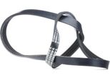 Ridex 305P0013 - Oe 038 260 849 Keilrippenriemen FüR A6 (4B), A4 (8E), 7Er (E65), 5Er (E61), 5Er (E60), 3Er (E36), Spark (M300), Aveo (T250, T255), Zx (N2), Strada, Siena, Punto, Palio, Marea, Doblo, Bravo, Brava, HR-V (Gh), CR-V I (Rd), Civic Vi, Accord Vi, Terracan (Hp), Xjsc (X27), Xj Coupé, Range Rover Ii (P38A), Almera I (N15), 405 Ii, Iq (J1)