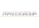 Prasco RN3291424 - Modanatura Oe 808213348R, Anteriore Sinistra Per Clio Iv