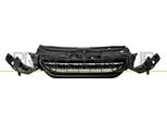 Prasco PG5002001 - Griglia Radiatore Oe 9678490680 Per 2008 I (Cu)