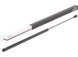 Ridex 514G0119 - Ammortizzatore Del Cofano Oe 31218478 Per C30 (533), C70 Ii Cabriolet (542), S40 Ii (544), V50 (545)