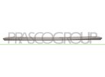 Prasco TY3541246 - Oe 5211202060 Striscia Di Rivestimento, Paraurti Anteriore, Per Auris (E18)