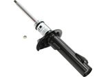 MASTER-SPORT 290838-PCS-MS Ammortizzatore Asse Anteriore Sinistro Per Ford Tourneo Connect