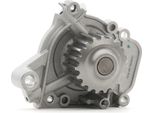 Ridex 1260W0115 - Pompa Acqua Oe 19200 P08 003 Per Civic V, Civic Vi, Crx Iii (Eg, Eh)