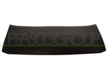 Prasco FD8041245 - Modanatura Oe 5221677, Paraurti Anteriore, Per Kuga Ii