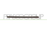 Prasco VG0201453 - Oe 6N4853754A Modanatura, Posteriore Destra Per Polo (6N)