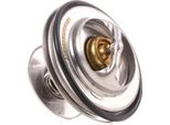 Ridex 316T0086 - Oe 04778 975 KüHlwasserthermostat FüR Voyager Iii (Gs), Cherokee (Xj), Grand Cherokee I (Zg, Zj), Grand Cherokee Ii (Wg, Wj)