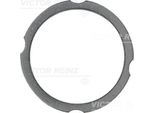 Reinz 61-38260-00 Guarnizione Testa Cilindro Per Fendt Farmer