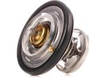 Ridex 316T0188 - Oe 6062030475 KüHlwasserthermostat FüR C-Klasse (W202), Vito (W638), V-Klasse (638/2), S-Klasse (W140), G-Klasse (W463), G-Klasse (W461), E-Klasse (S210), E-Klasse (S124), E-Klasse (W210), E-Klasse (W124), C-Klasse (S202)