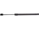 Ridex 219G0016 - Ammortizzatore Posteriore Oe 1 070 024 Per Focus (Daw, Dbw)