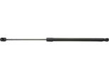 Ridex 219G0269 - Ammortizzatore Posteriore Oe 6723080 Per Escort V, Escort Vi