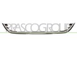 Prasco DS0152206 - Oe 620703HN0A Modanatura, Griglia Radiatore Per Micra Iv (K13)