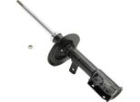 MASTER-SPORT 314135-PCS-MS Ammortizzatore Asse Anteriore Sinistro Per Fiat Panda (169_)